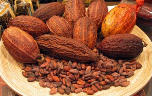 Ruang Lingkup Agroindustri