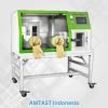 Anaerobic Incubator AMTAST LAI-3T