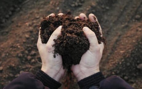 Cara Mengetahui pH Tanah