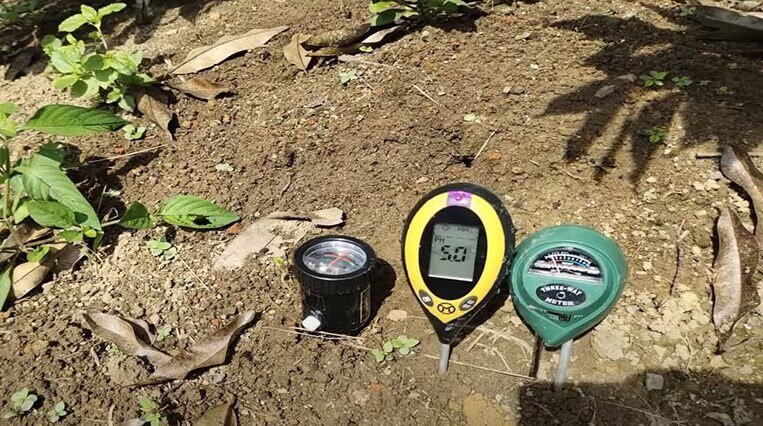 Cara Menggunakan pH Meter Tanah
