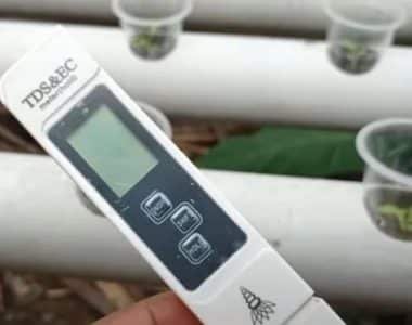 Kegunaan TDS Meter di Pertanian Hidroponik