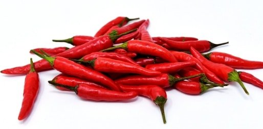 Jenis jenis Cabai Tahan Hujan