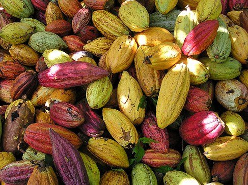 Contoh Produk Agroindustri Unggulan Indonesia