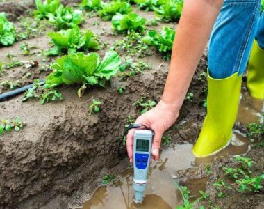 Pentingnya pH Meter Digital Untuk Uji Keasaman Air dan Tanah
